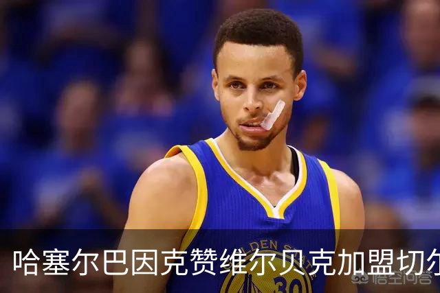 哈塞尔巴因克赞维尔贝克加盟切尔西的明智选择